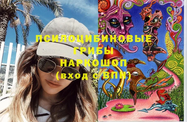 стафф Бронницы